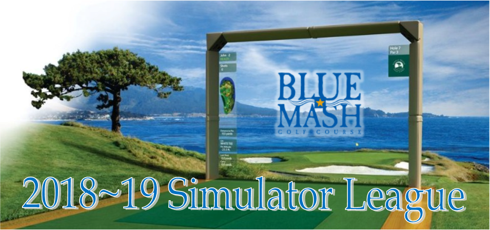 2018 Simulator League Banner - Blue Mash
